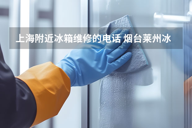 上海附近冰箱维修的电话 烟台莱州冰箱维修服务_烟台莱州冰箱维修电话